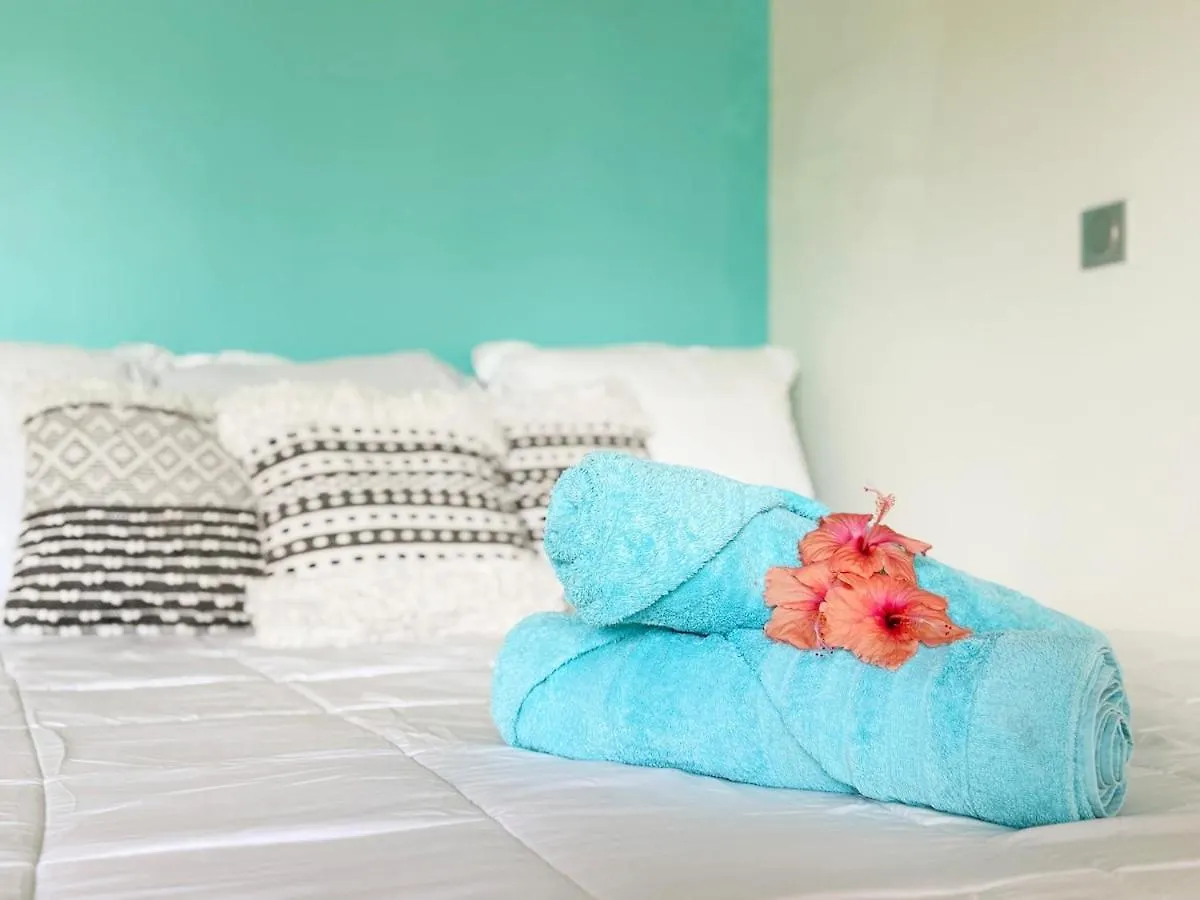 Apartment Charming Cozy Beachfront Studio With Parking And Wifi Bora Bora