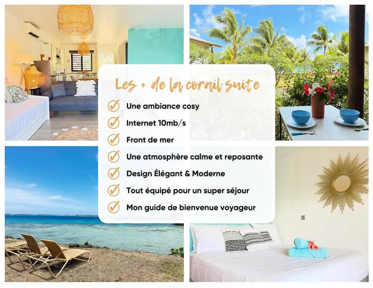 Charming Cozy Beachfront Studio With Parking And Wifi Bora Bora French Polynesia