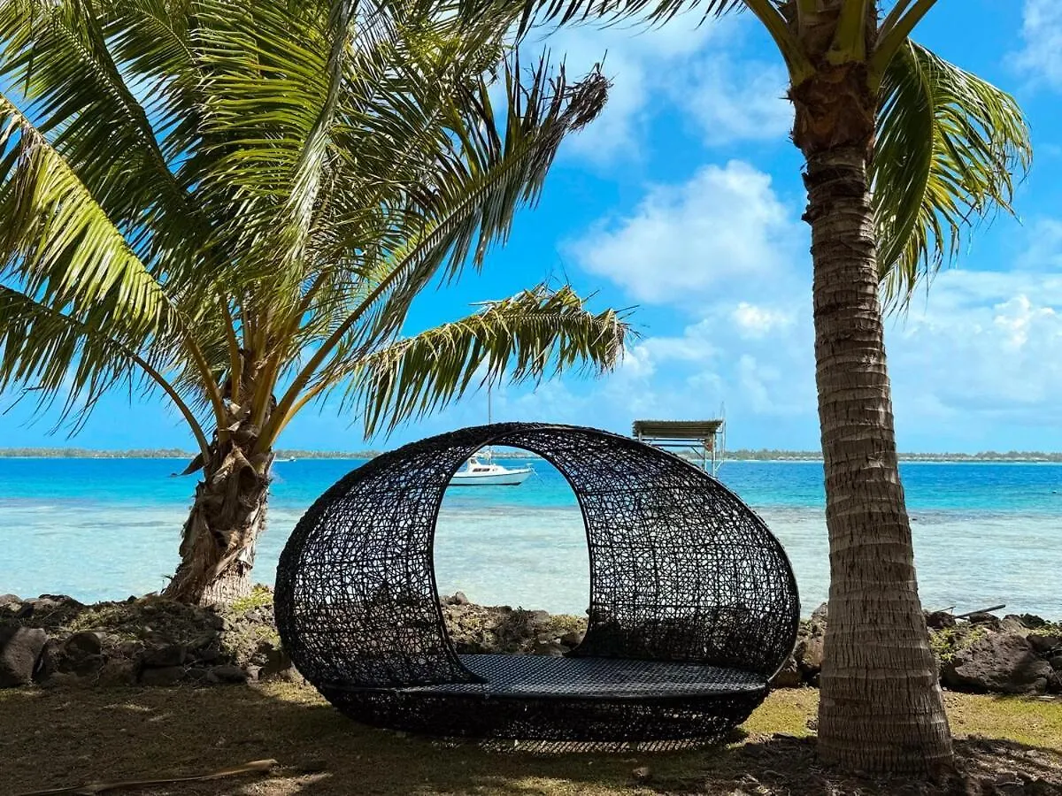 Charming Cozy Beachfront Studio With Parking And Wifi Bora Bora 0*,  French Polynesia