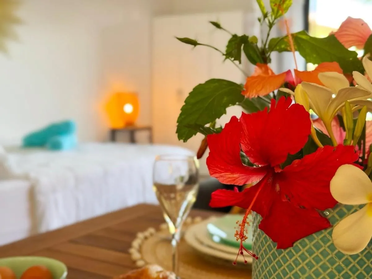 Apartment Charming Cozy Beachfront Studio With Parking And Wifi Bora Bora French Polynesia