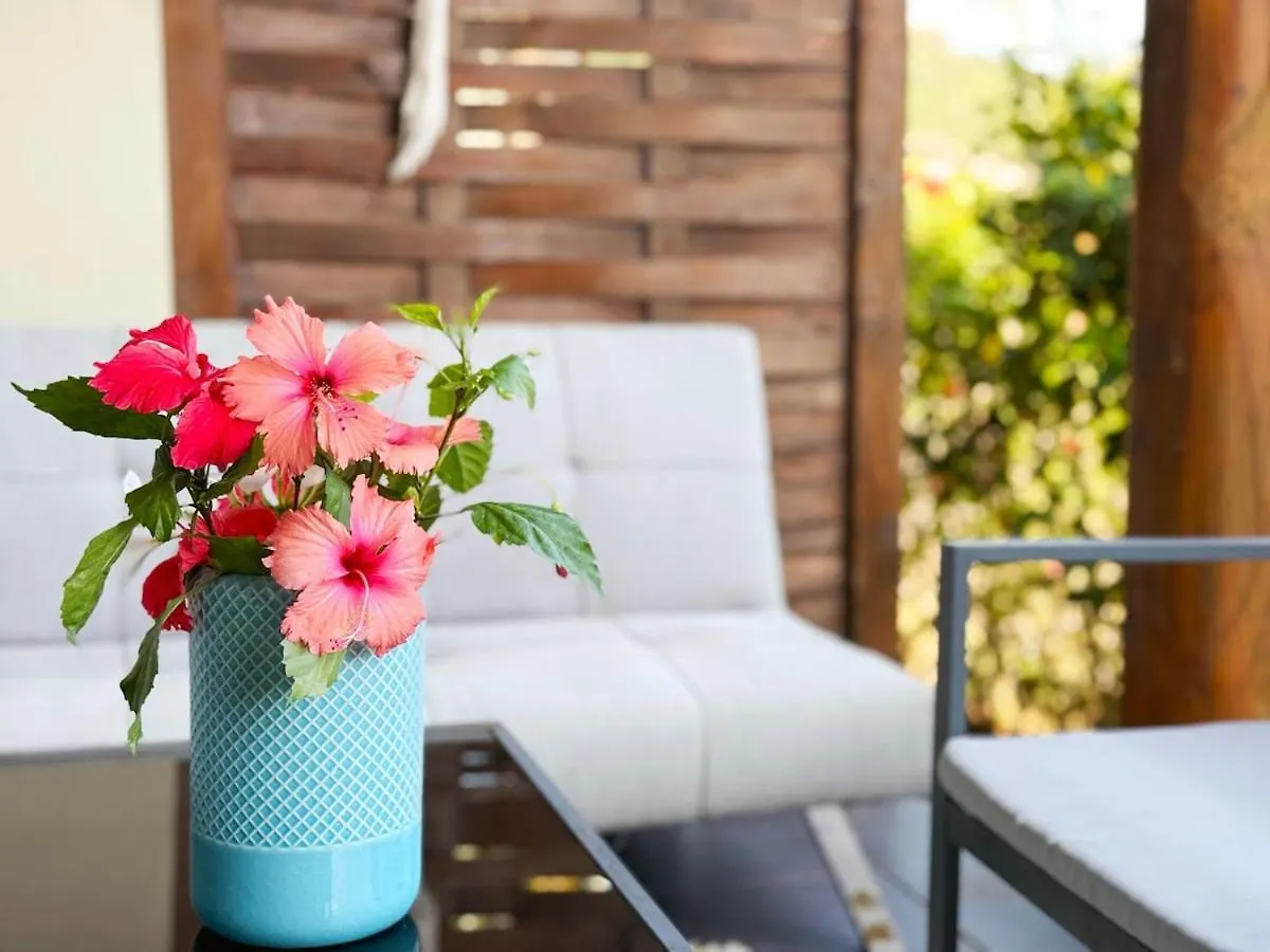 Apartment Charming Cozy Beachfront Studio With Parking And Wifi Bora Bora