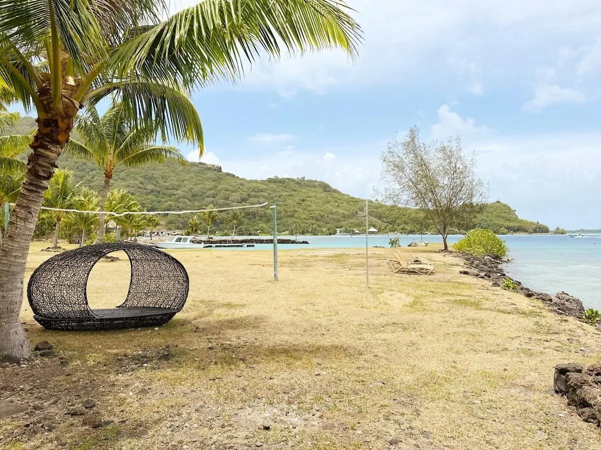 Apartment Charming Cozy Beachfront Studio With Parking And Wifi Bora Bora French Polynesia