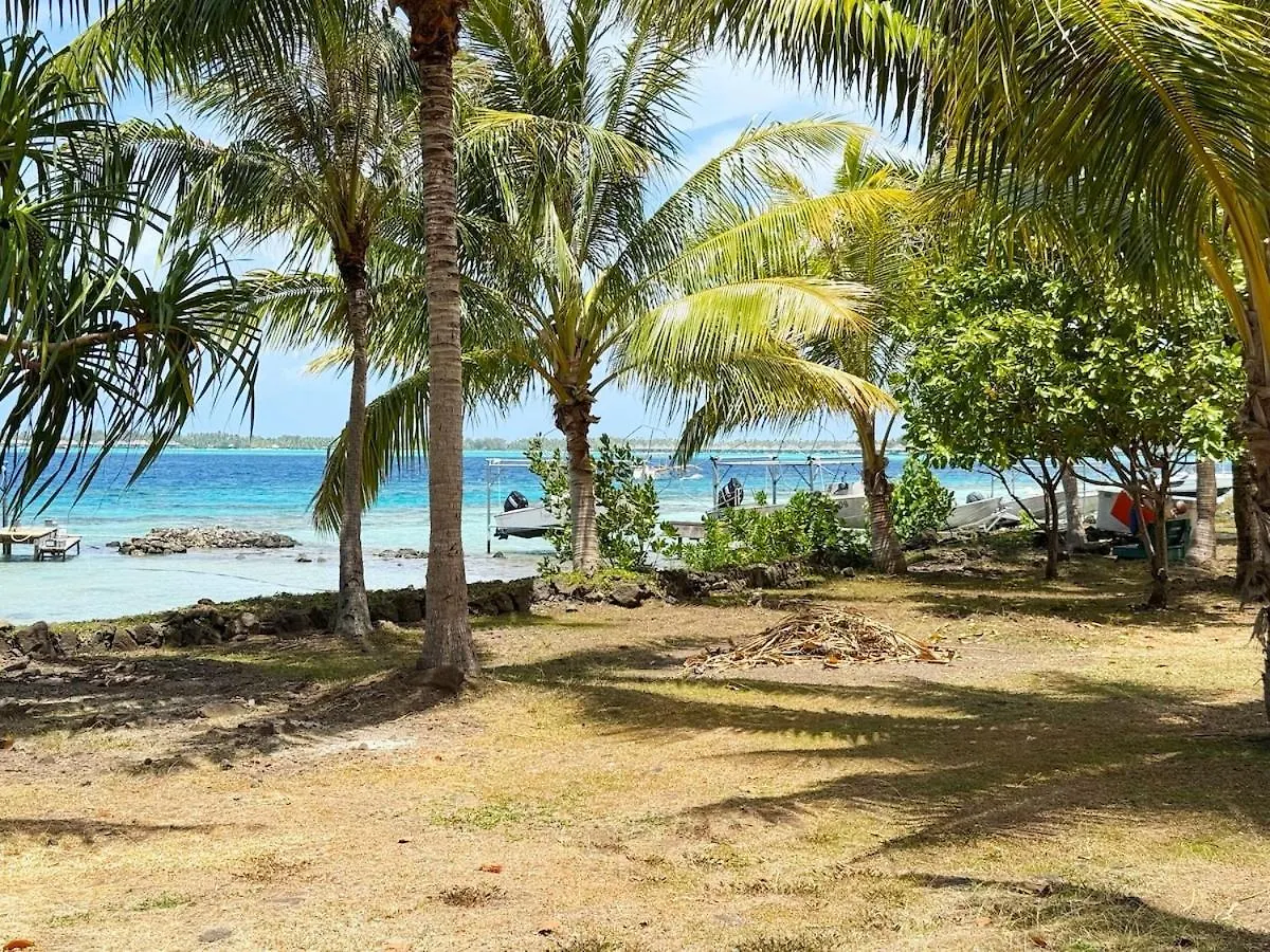 Apartment Charming Cozy Beachfront Studio With Parking And Wifi Bora Bora
