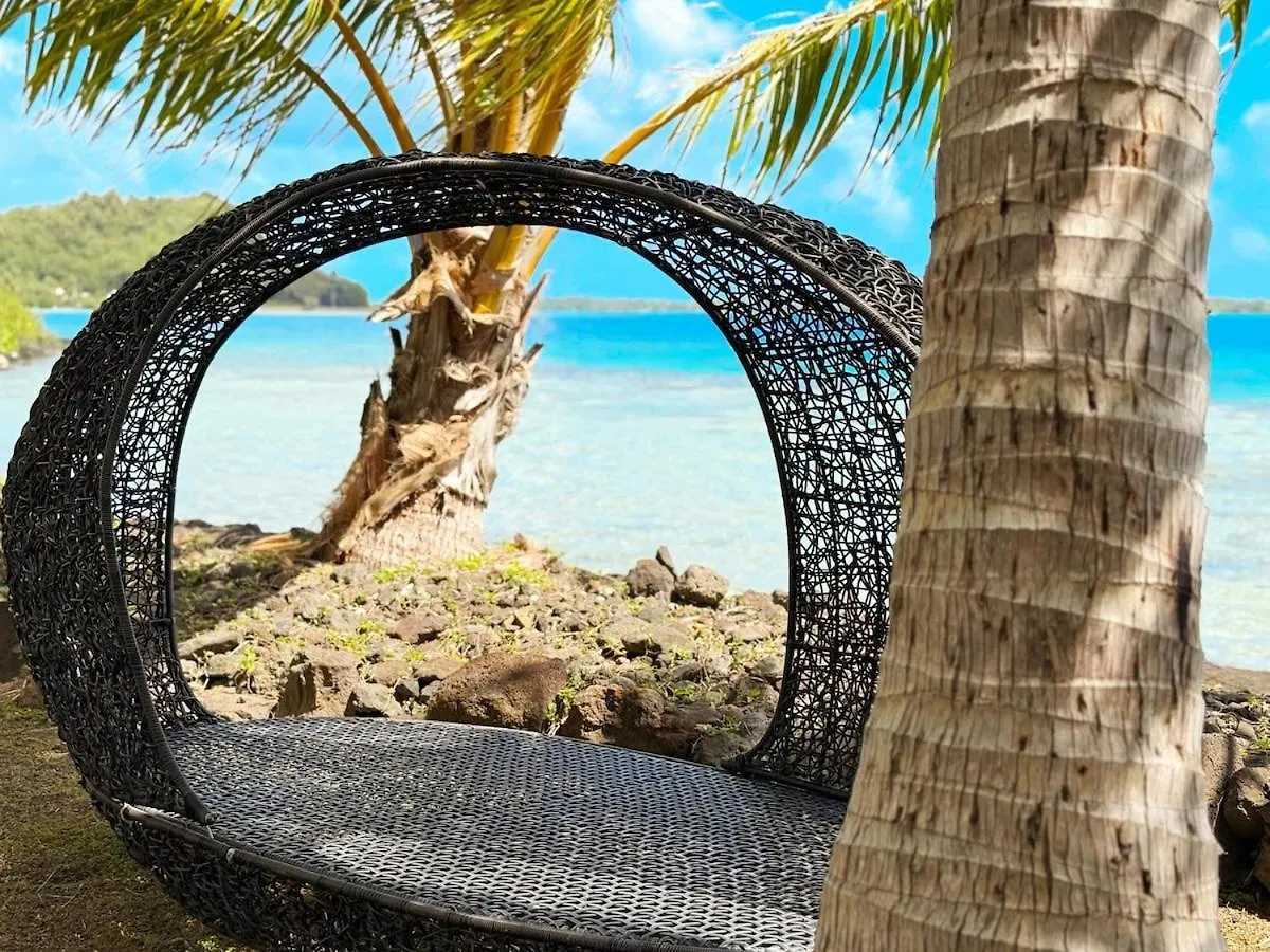 Charming Cozy Beachfront Studio With Parking And Wifi Bora Bora French Polynesia
