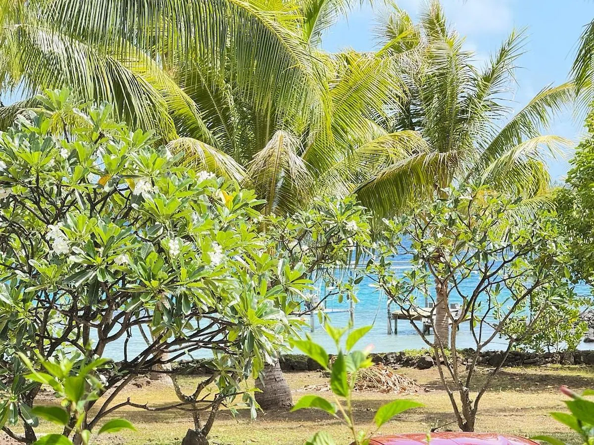 Charming Cozy Beachfront Studio With Parking And Wifi Bora Bora 0*,  Polinésia Francesa