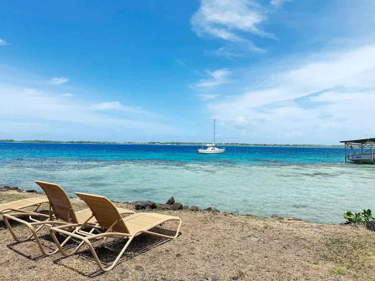 Apartment Charming Cozy Beachfront Studio With Parking And Wifi Bora Bora French Polynesia