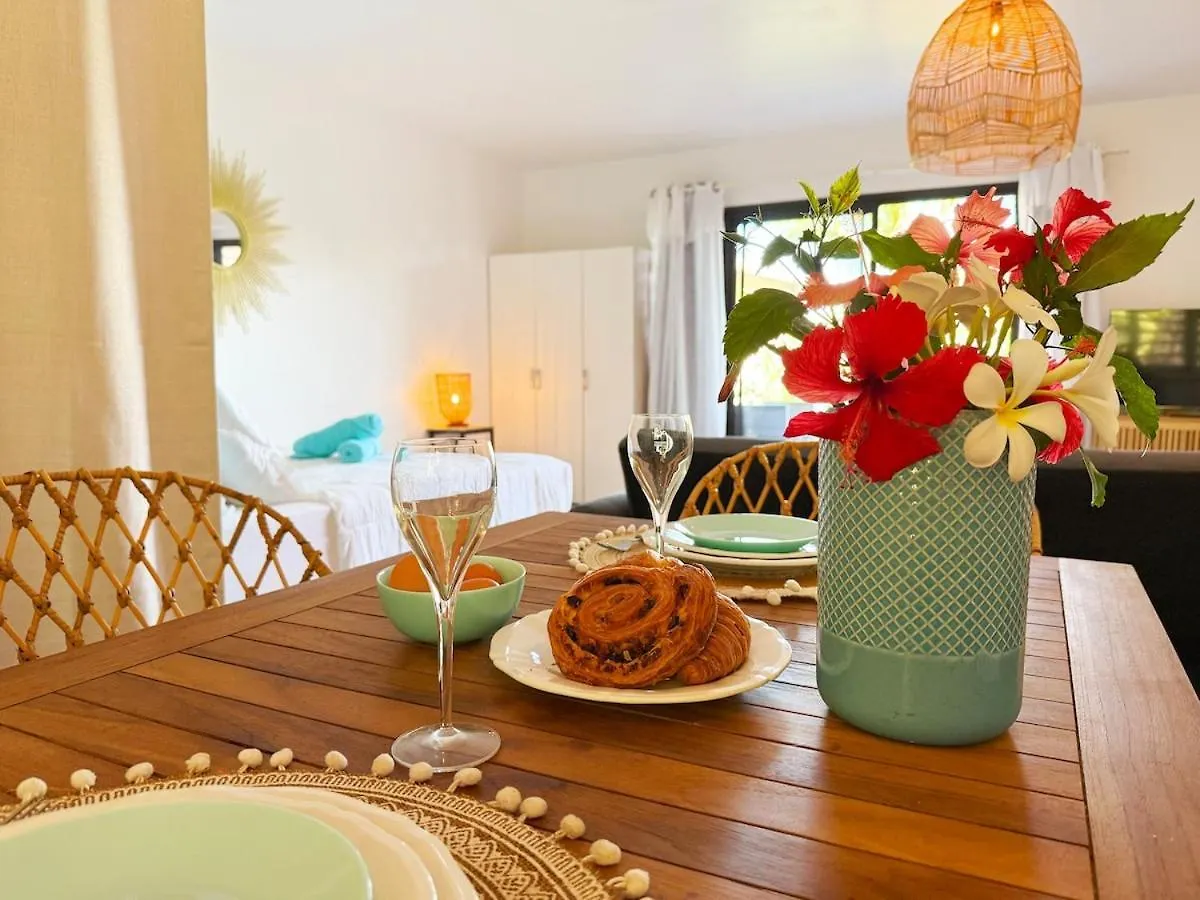 Apartment Charming Cozy Beachfront Studio With Parking And Wifi Bora Bora