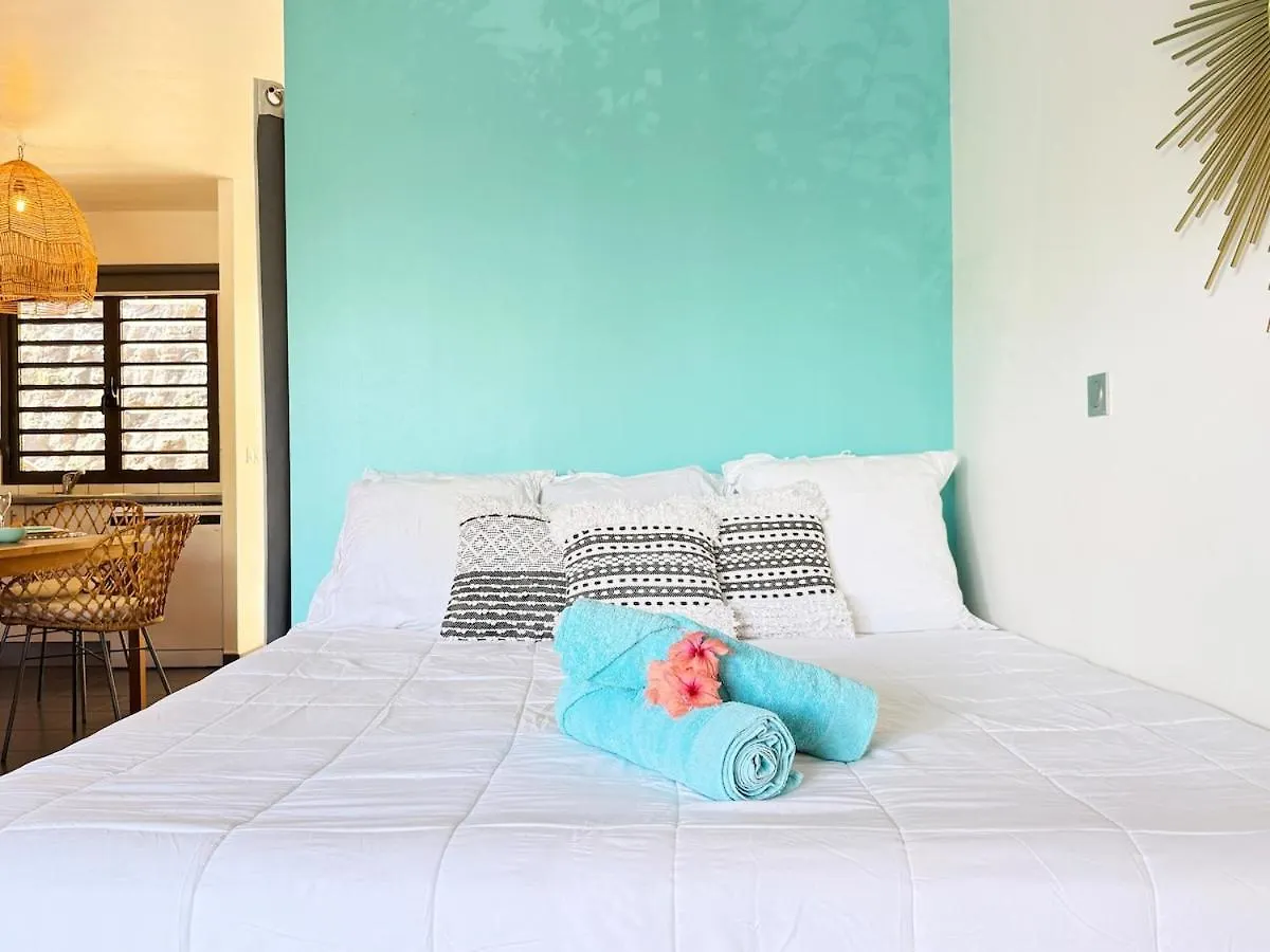 Charming Cozy Beachfront Studio With Parking And Wifi Bora Bora 0*,  French Polynesia