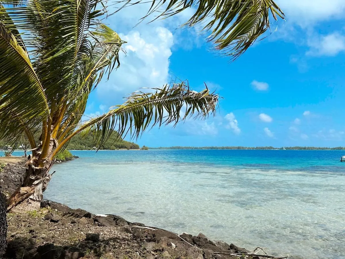 Apartamento Charming Cozy Beachfront Studio With Parking And Wifi Bora Bora Polinésia Francesa